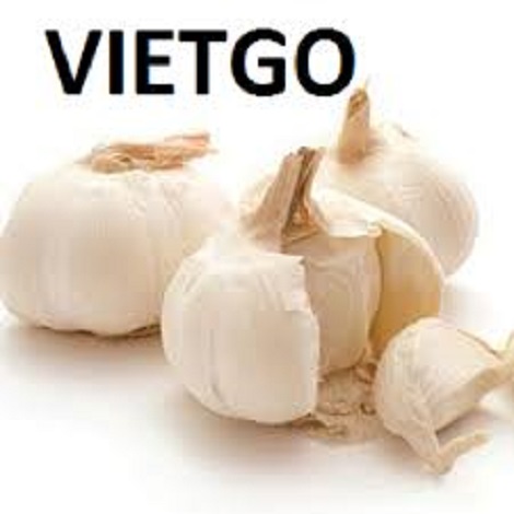 Tỏi tươi Vietgo